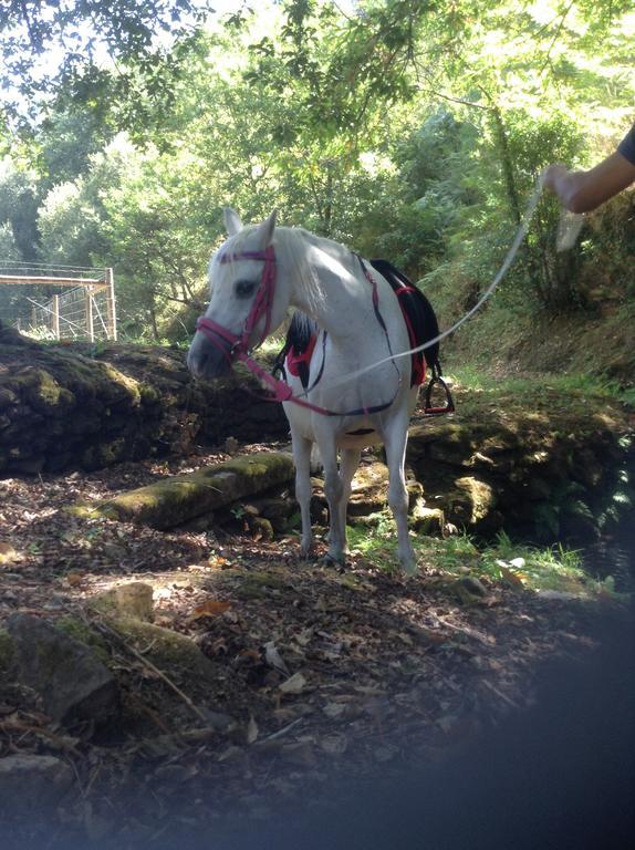 Willa Saberamar Little Country Arouca Zewnętrze zdjęcie